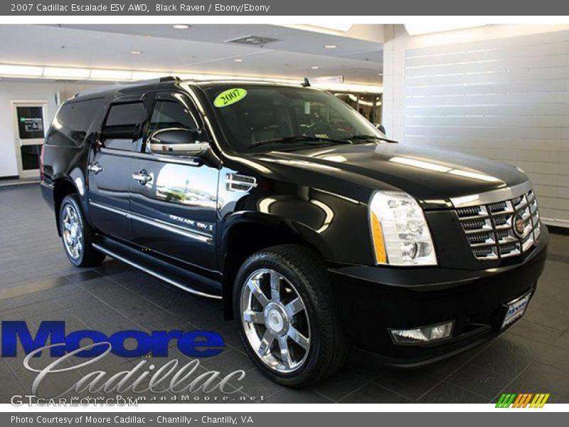 Black Raven / Ebony/Ebony 2007 Cadillac Escalade ESV AWD