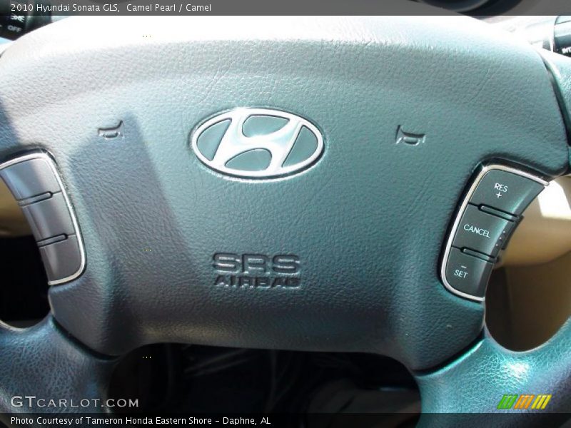 Camel Pearl / Camel 2010 Hyundai Sonata GLS