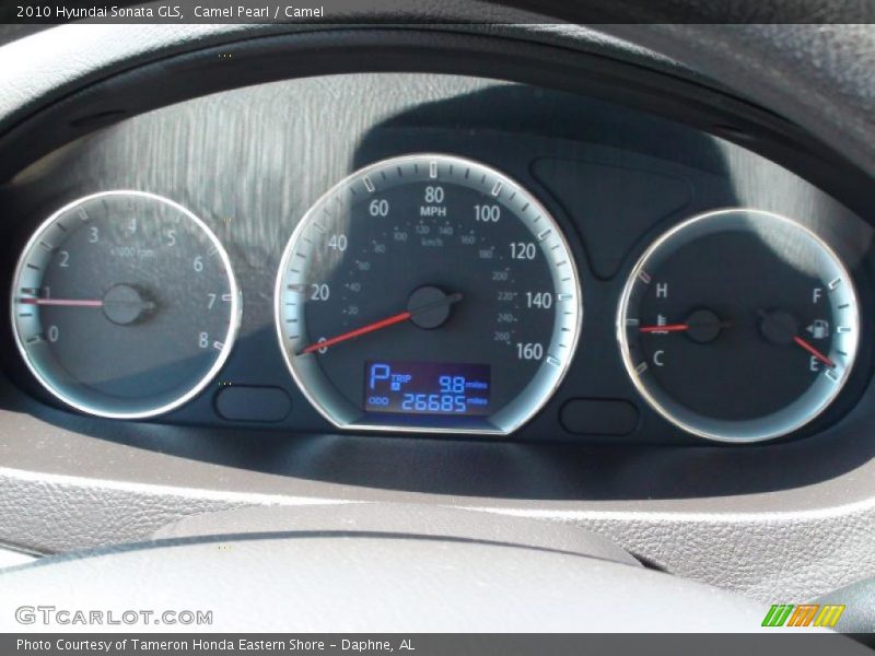 Camel Pearl / Camel 2010 Hyundai Sonata GLS