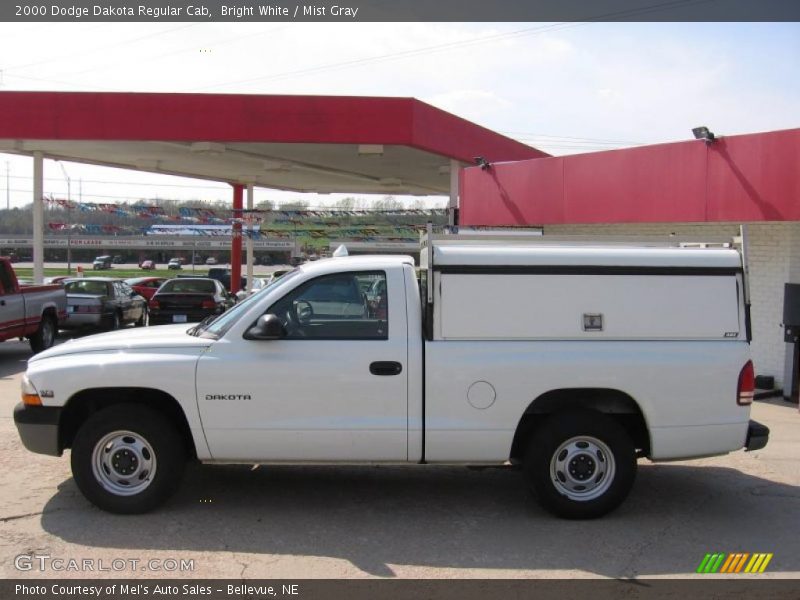 Bright White / Mist Gray 2000 Dodge Dakota Regular Cab