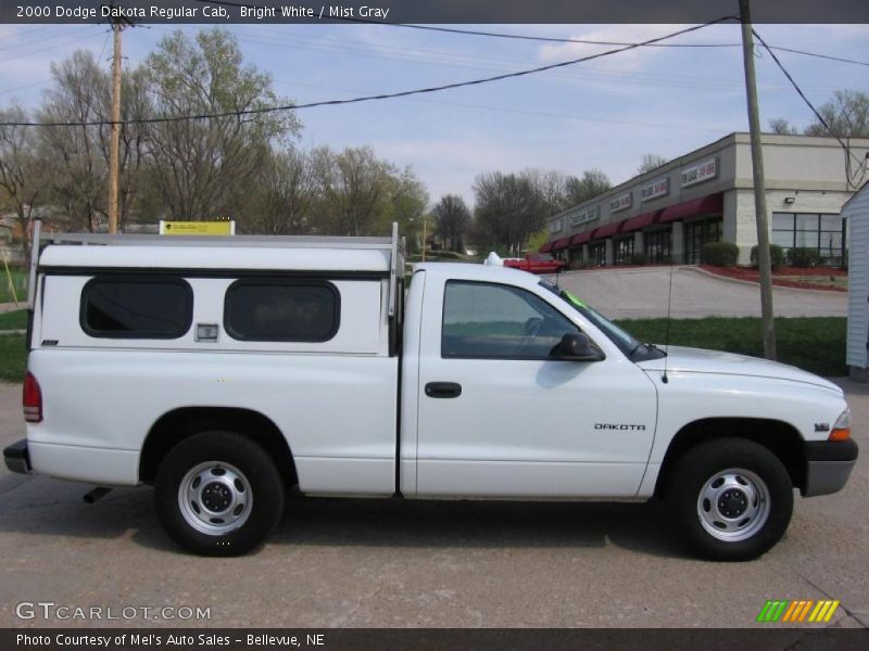 Bright White / Mist Gray 2000 Dodge Dakota Regular Cab