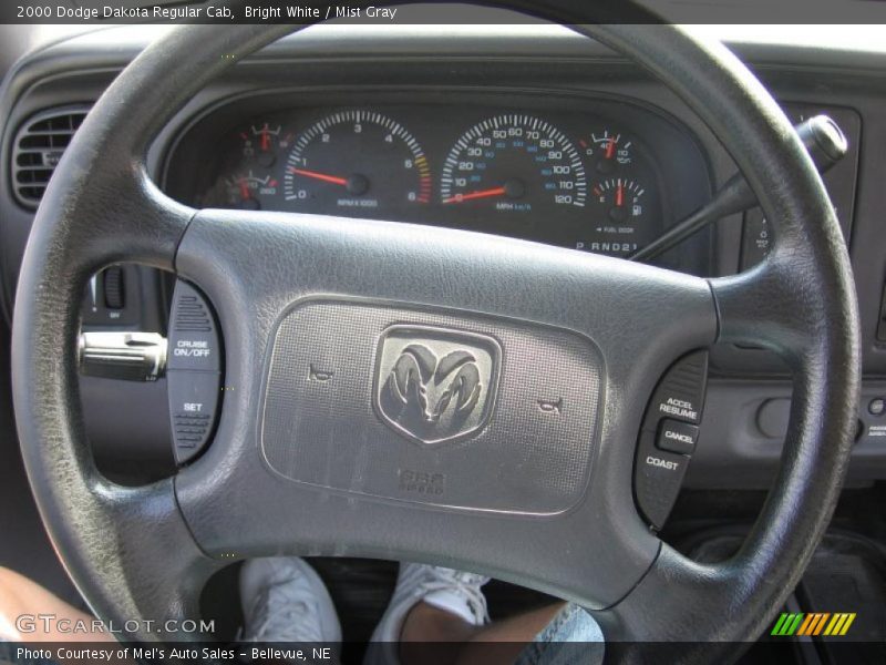 Bright White / Mist Gray 2000 Dodge Dakota Regular Cab