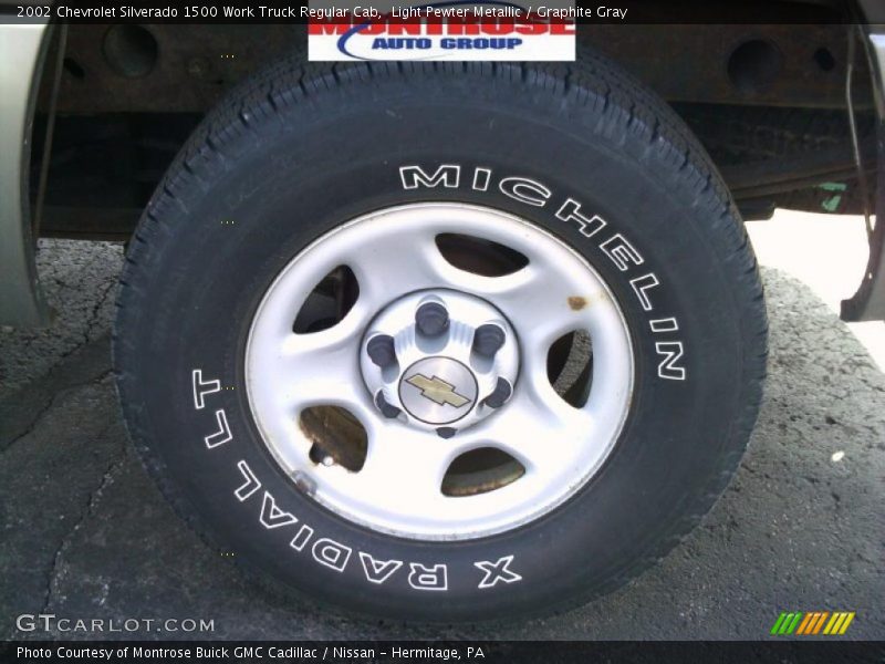 Light Pewter Metallic / Graphite Gray 2002 Chevrolet Silverado 1500 Work Truck Regular Cab