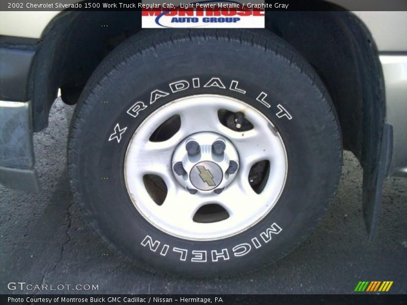 Light Pewter Metallic / Graphite Gray 2002 Chevrolet Silverado 1500 Work Truck Regular Cab