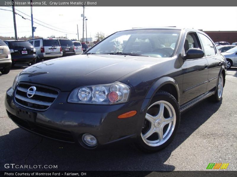 Gray Lustre Metallic / Blond 2002 Nissan Maxima SE