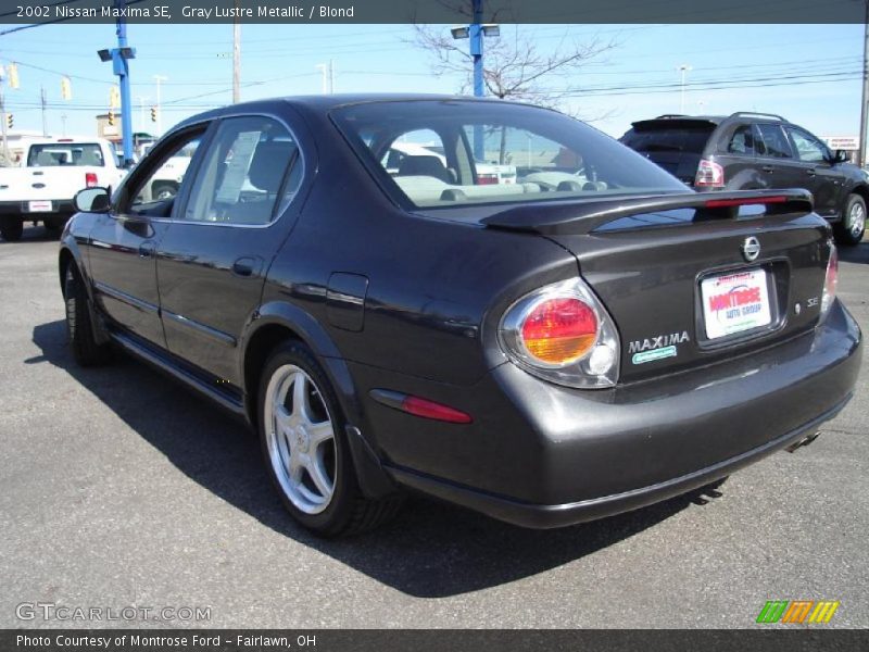 Gray Lustre Metallic / Blond 2002 Nissan Maxima SE