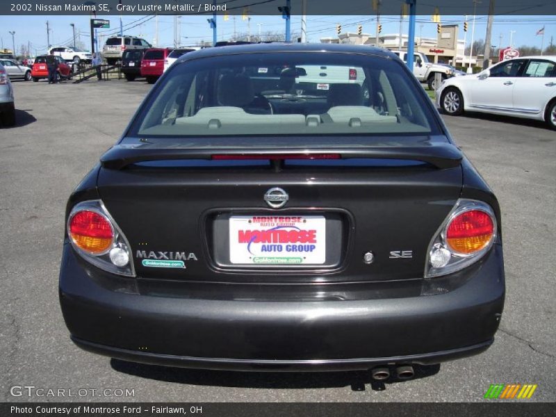 Gray Lustre Metallic / Blond 2002 Nissan Maxima SE