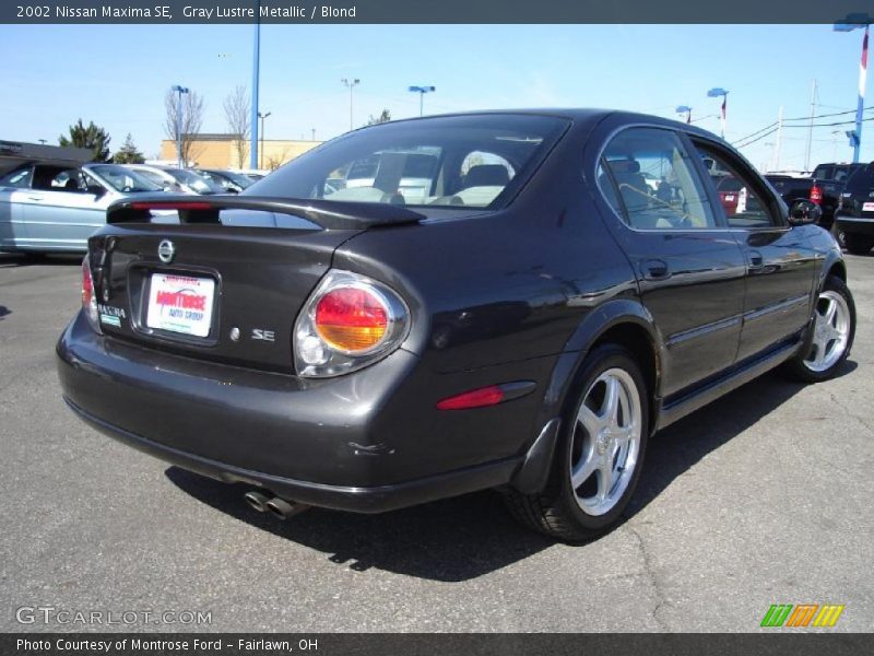 Gray Lustre Metallic / Blond 2002 Nissan Maxima SE