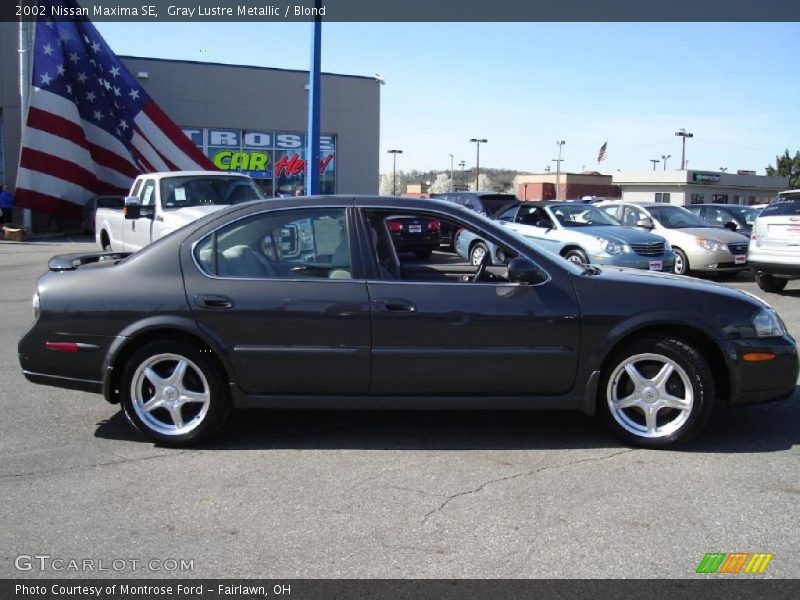 Gray Lustre Metallic / Blond 2002 Nissan Maxima SE