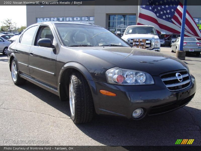 Gray Lustre Metallic / Blond 2002 Nissan Maxima SE