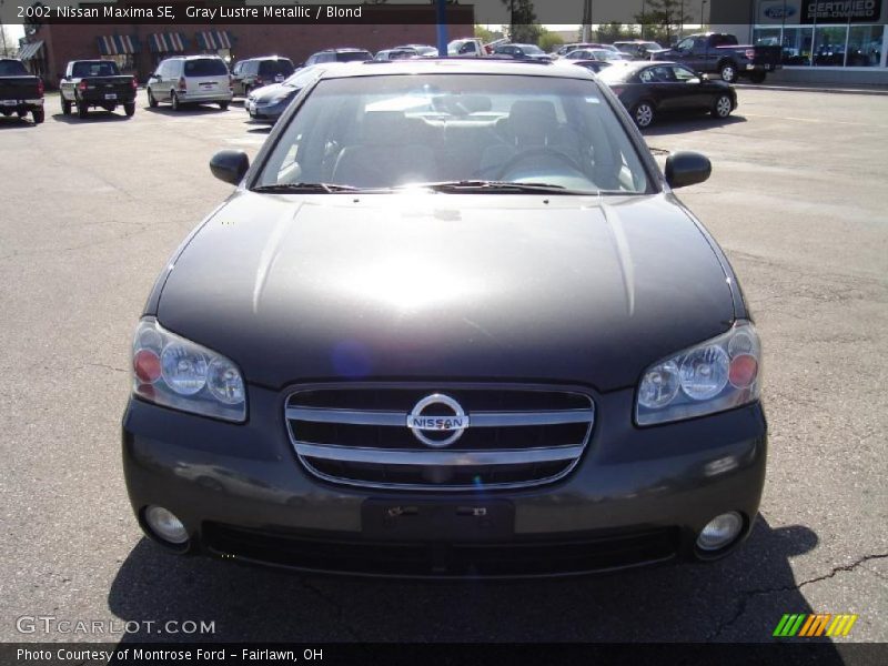 Gray Lustre Metallic / Blond 2002 Nissan Maxima SE