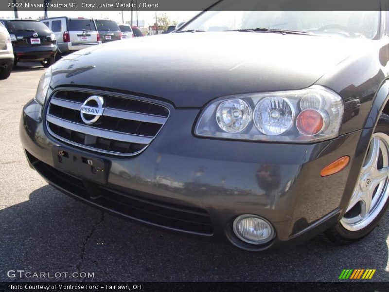 Gray Lustre Metallic / Blond 2002 Nissan Maxima SE