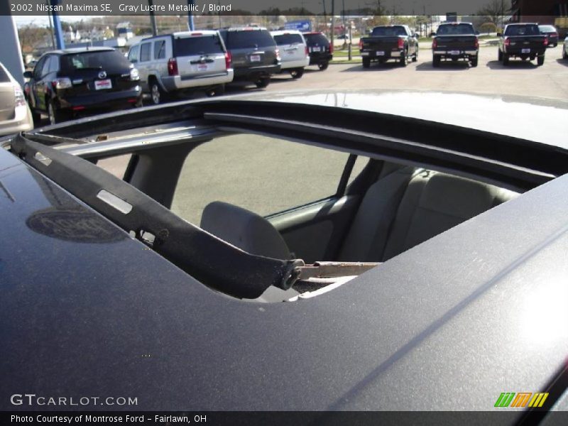 Gray Lustre Metallic / Blond 2002 Nissan Maxima SE