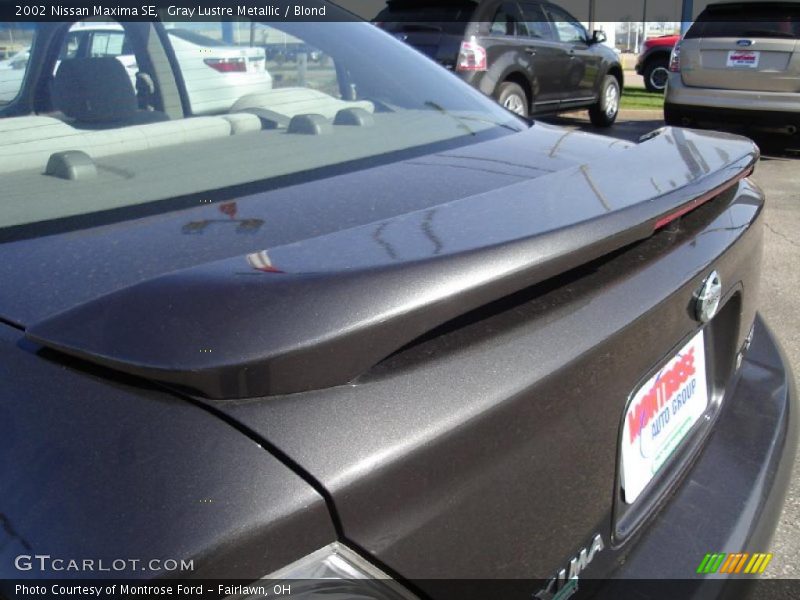 Gray Lustre Metallic / Blond 2002 Nissan Maxima SE