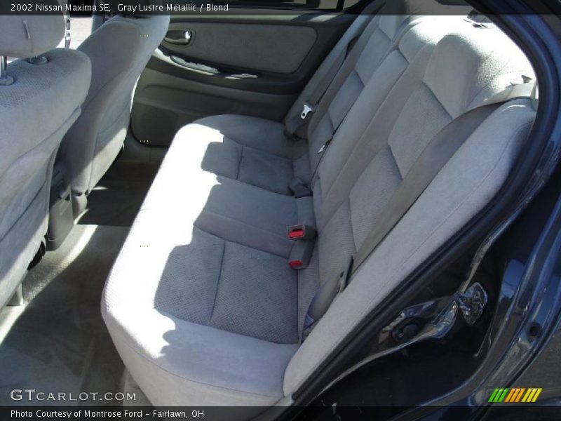 Gray Lustre Metallic / Blond 2002 Nissan Maxima SE