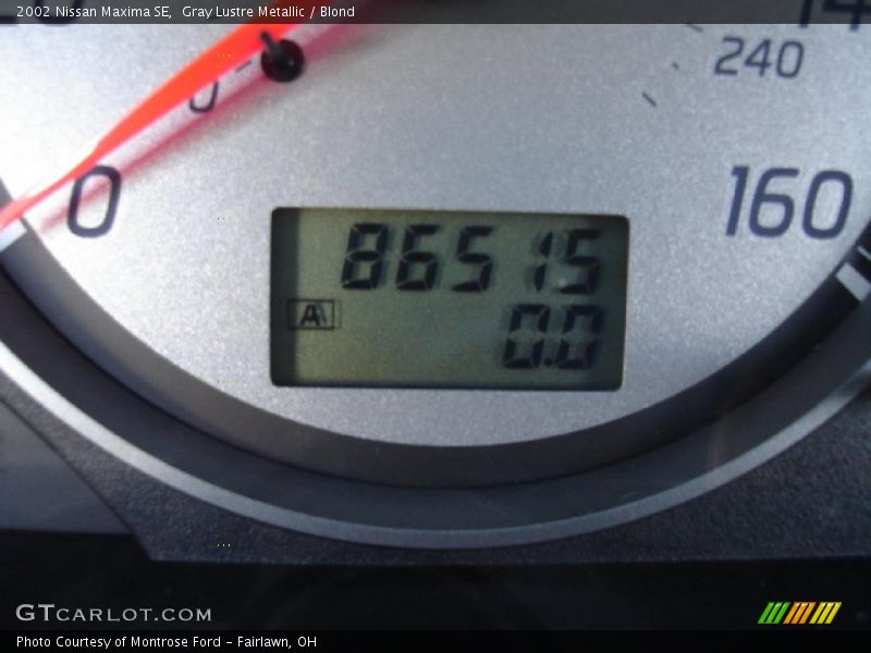 Gray Lustre Metallic / Blond 2002 Nissan Maxima SE