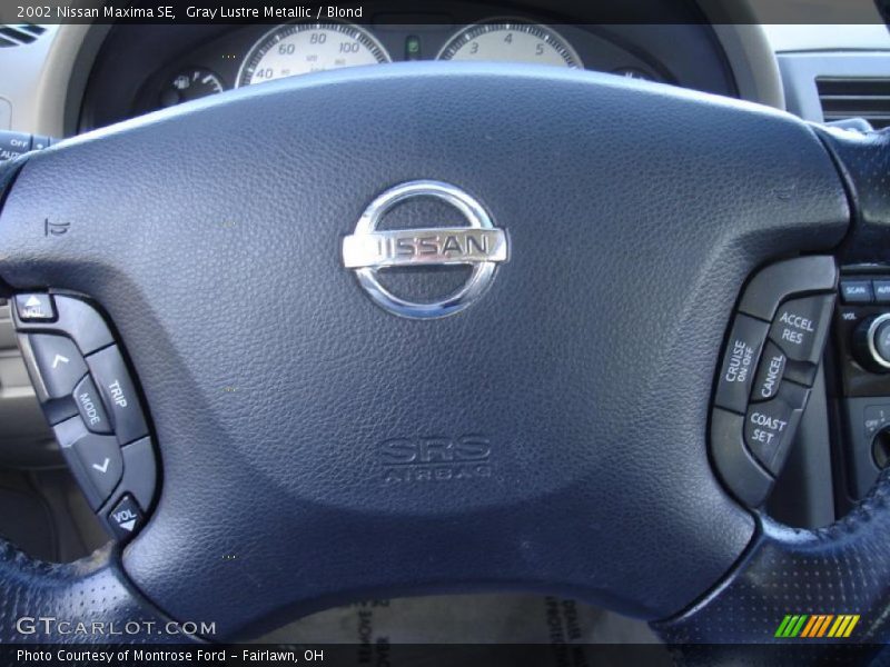 Gray Lustre Metallic / Blond 2002 Nissan Maxima SE