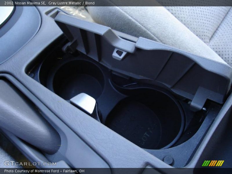 Gray Lustre Metallic / Blond 2002 Nissan Maxima SE