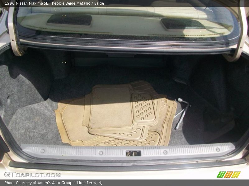 Pebble Beige Metallic / Beige 1996 Nissan Maxima SE