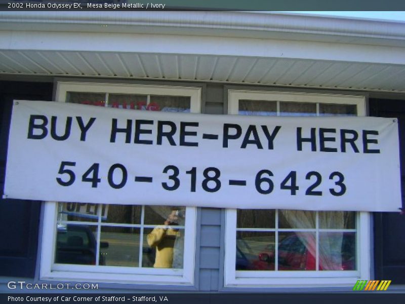Mesa Beige Metallic / Ivory 2002 Honda Odyssey EX