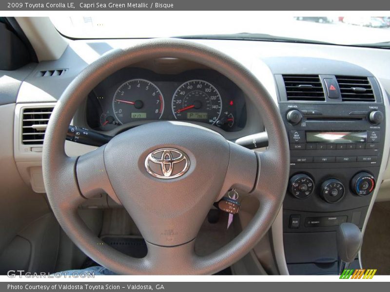 Capri Sea Green Metallic / Bisque 2009 Toyota Corolla LE