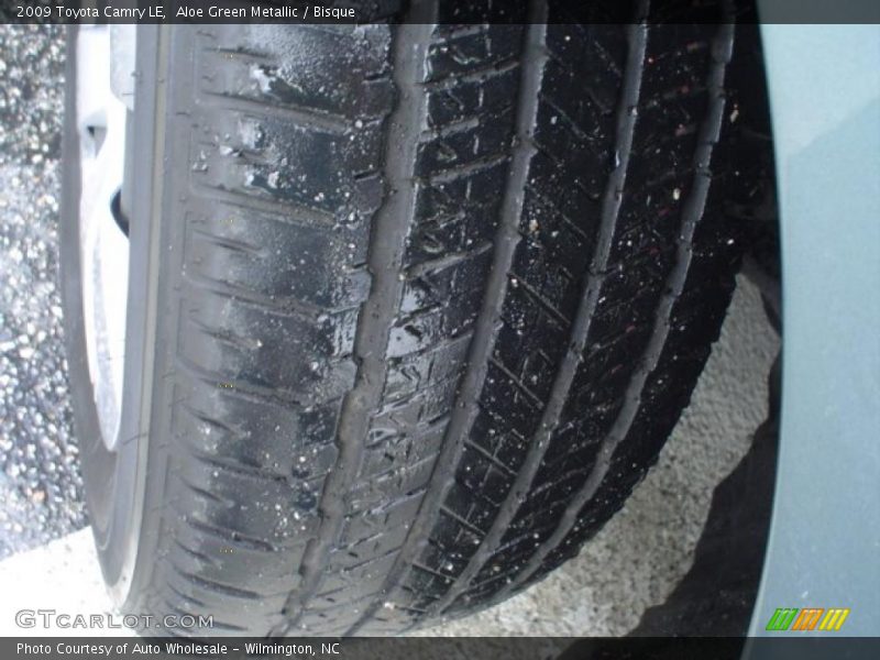 Aloe Green Metallic / Bisque 2009 Toyota Camry LE