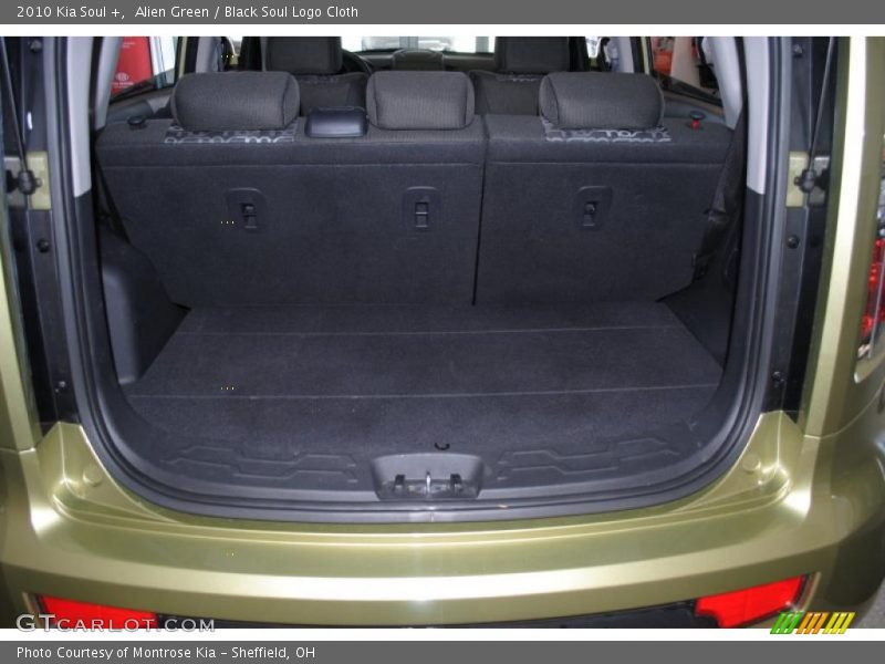Alien Green / Black Soul Logo Cloth 2010 Kia Soul +