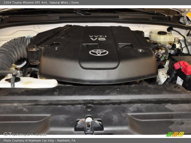 Natural White / Stone 2004 Toyota 4Runner SR5 4x4