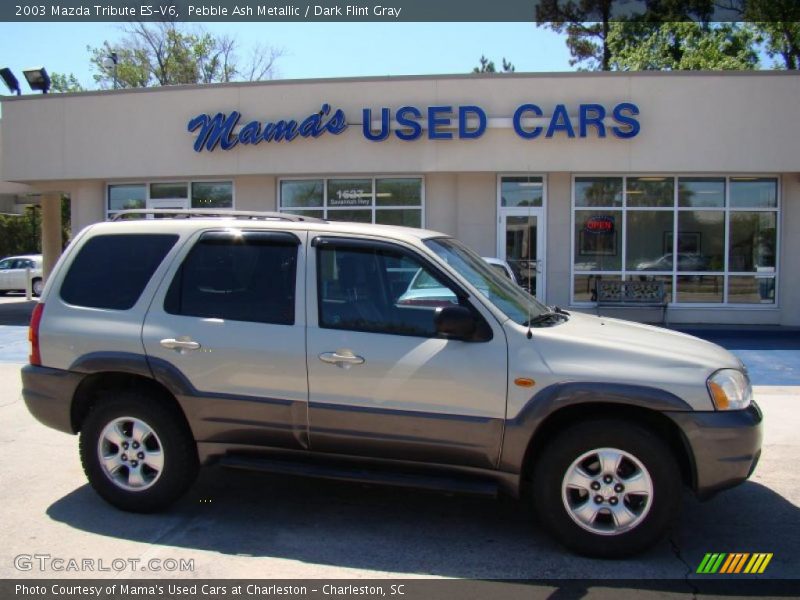 Pebble Ash Metallic / Dark Flint Gray 2003 Mazda Tribute ES-V6