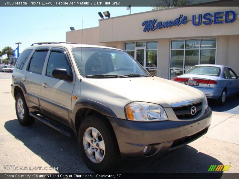 Pebble Ash Metallic / Dark Flint Gray 2003 Mazda Tribute ES-V6