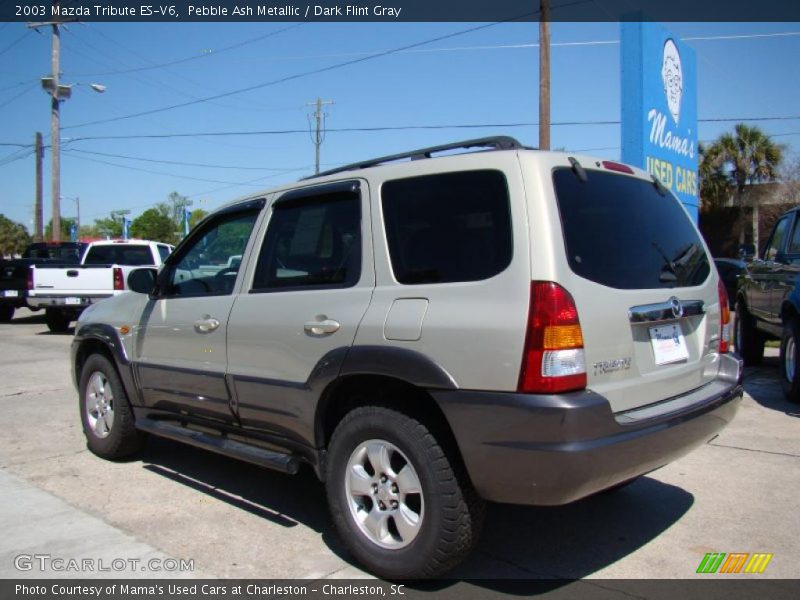 Pebble Ash Metallic / Dark Flint Gray 2003 Mazda Tribute ES-V6