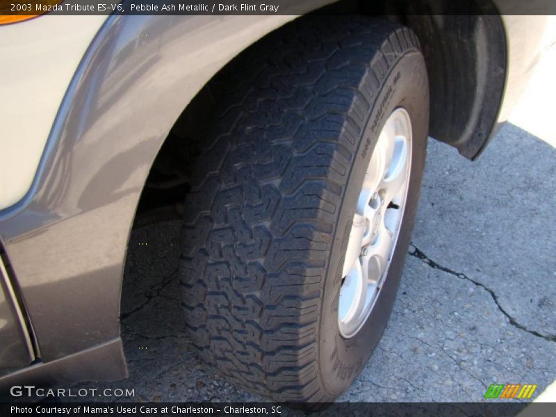 Pebble Ash Metallic / Dark Flint Gray 2003 Mazda Tribute ES-V6