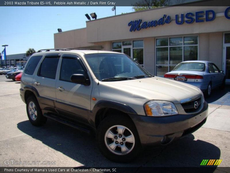 Pebble Ash Metallic / Dark Flint Gray 2003 Mazda Tribute ES-V6