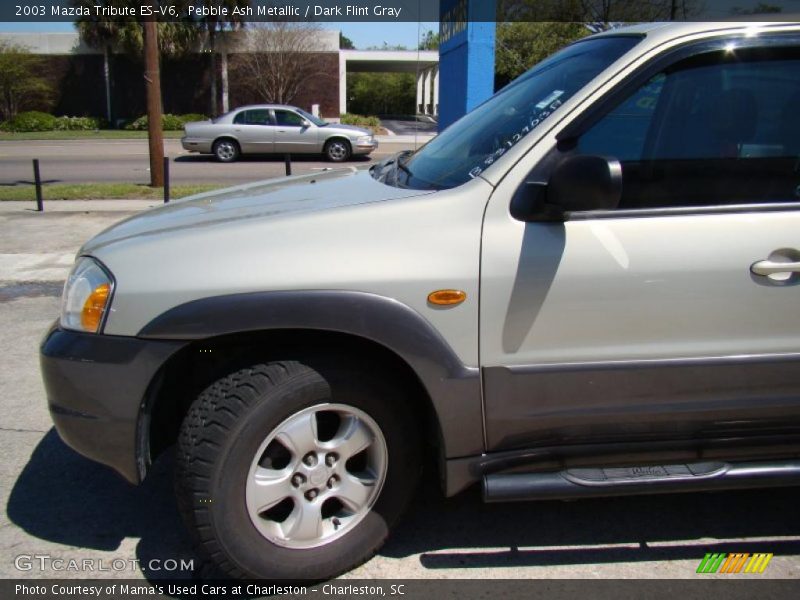 Pebble Ash Metallic / Dark Flint Gray 2003 Mazda Tribute ES-V6