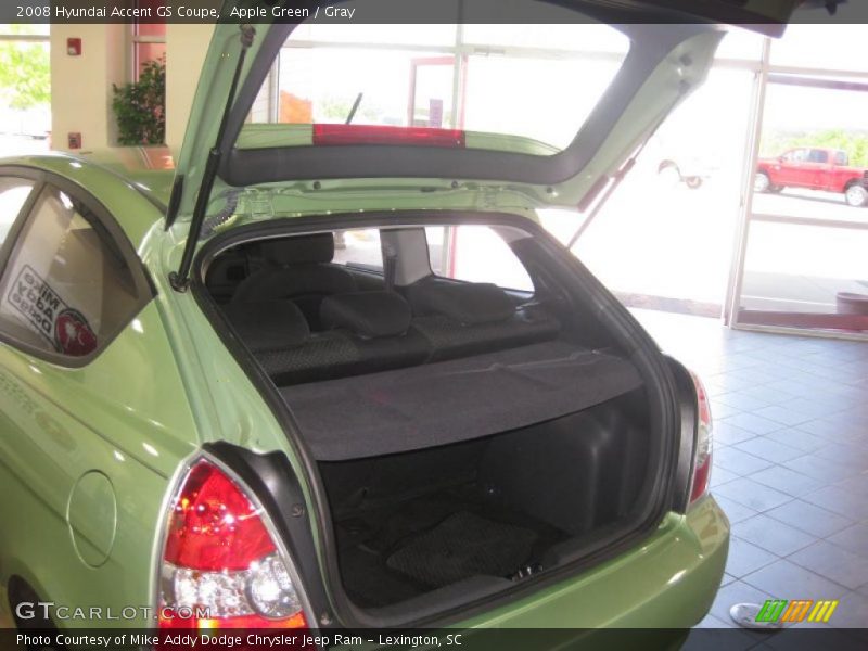 Apple Green / Gray 2008 Hyundai Accent GS Coupe