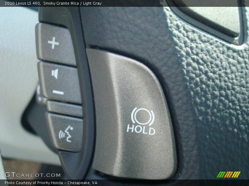 Smoky Granite Mica / Light Gray 2010 Lexus LS 460