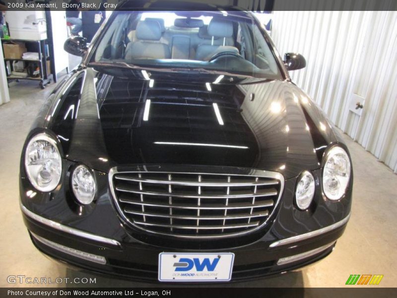 Ebony Black / Gray 2009 Kia Amanti
