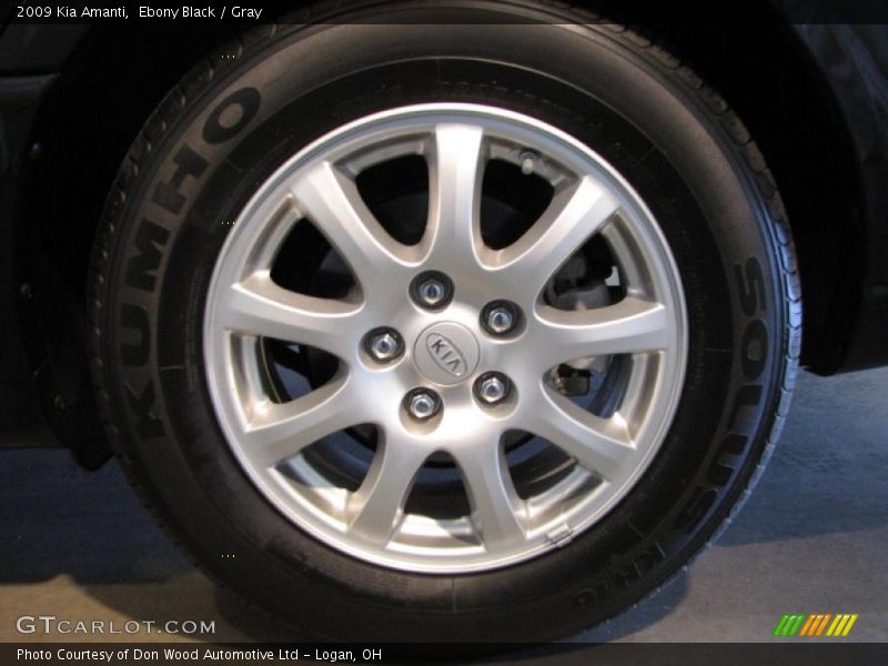 Ebony Black / Gray 2009 Kia Amanti