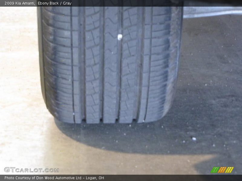 Ebony Black / Gray 2009 Kia Amanti