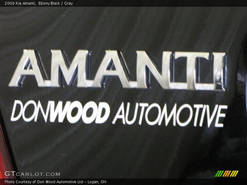Ebony Black / Gray 2009 Kia Amanti