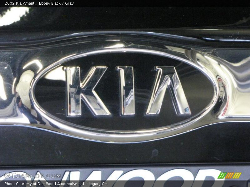 Ebony Black / Gray 2009 Kia Amanti