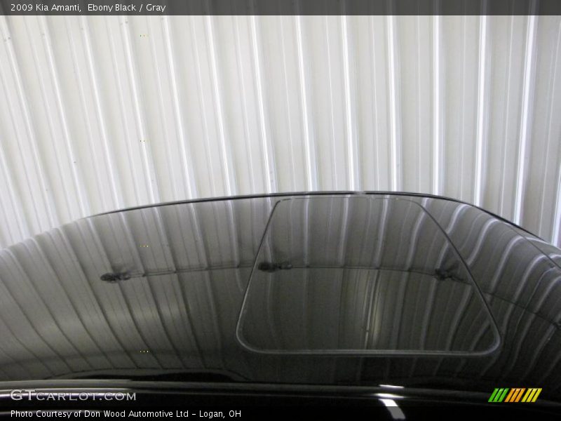 Ebony Black / Gray 2009 Kia Amanti