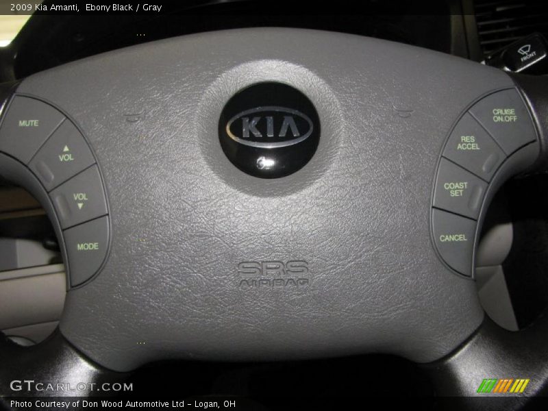 Ebony Black / Gray 2009 Kia Amanti