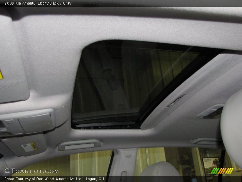 Ebony Black / Gray 2009 Kia Amanti