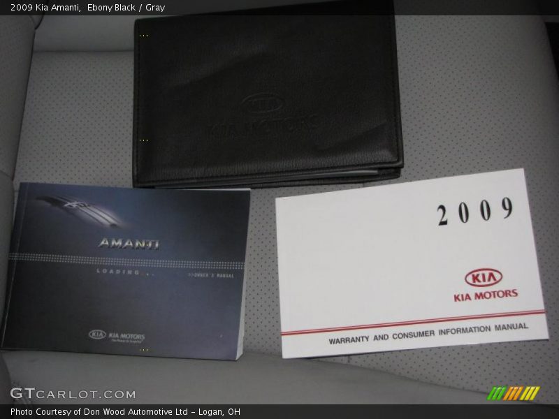 Ebony Black / Gray 2009 Kia Amanti
