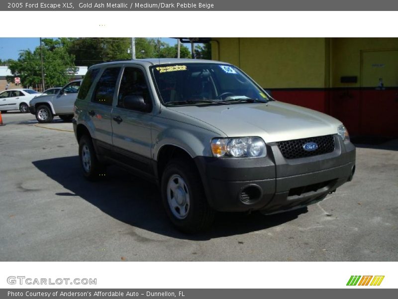 Gold Ash Metallic / Medium/Dark Pebble Beige 2005 Ford Escape XLS