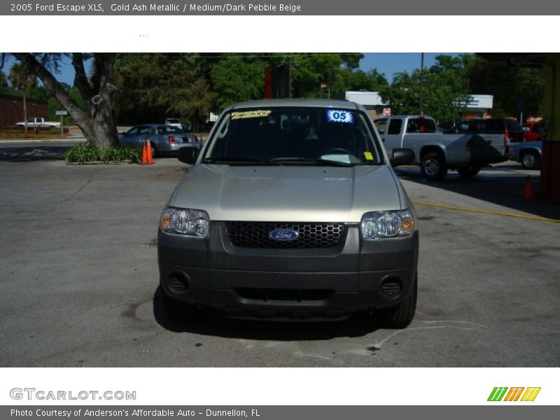 Gold Ash Metallic / Medium/Dark Pebble Beige 2005 Ford Escape XLS