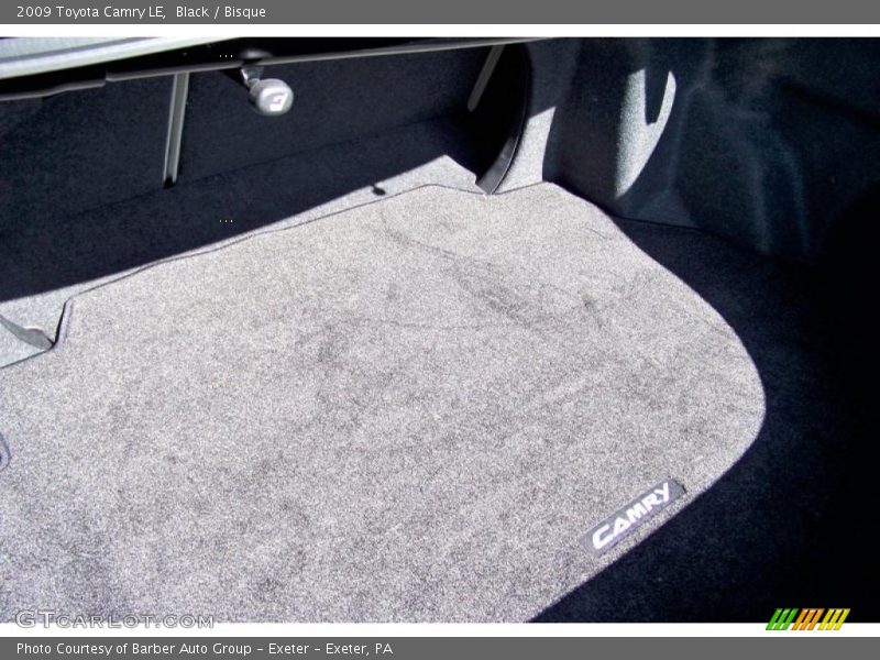 Black / Bisque 2009 Toyota Camry LE