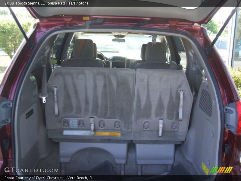 Salsa Red Pearl / Stone 2009 Toyota Sienna LE