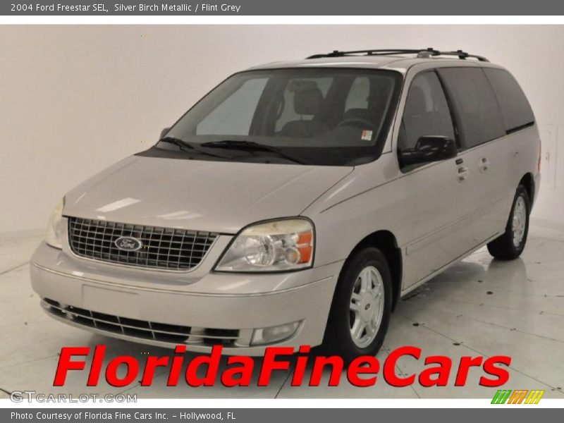 Silver Birch Metallic / Flint Grey 2004 Ford Freestar SEL